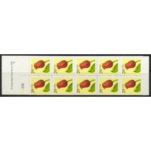 2527a Bk185 29c Flowers Very Fine MNH 2 Pane/10 P# K3333 L00624 (5)