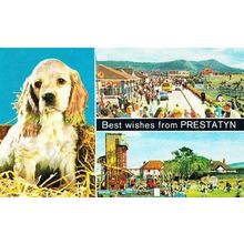Prestatyn Wales Childrens Welsh Park Childrens Playground Giant Slide Postcard