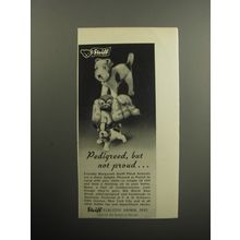 1957 Steiff Toys Advertisement - Dogs - Pedigreed, but not proud