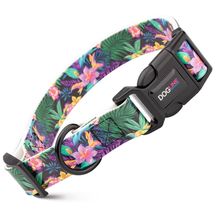 Dog Pet Wonderland Flowers Quick Release Printed Collar 1" x 15"- 23"