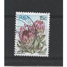 SouthAfrica.SG424 15c Protea Eximia.Fine Used.Sep25z