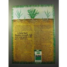 1977 Scotts Turf Builder Ad - In Early Fall