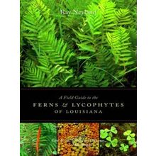 A Field Guide To The Ferns And Lycophytes Of Louisiana
