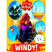 What's The Weather? It's Windy