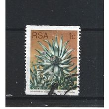 SouthAfrica.SG431 1c Leucadendron Argenteum.Fine Used.Sep25n