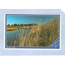 New Jersey Barnegat Bay Greetings From The New Jersey Shore Picturesque Sc~2143
