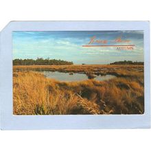 New Jersey Barnegat Bay Greetings From The Jersey Shore Cattus Island Envi~2142