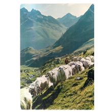 PYRENEES MOUNTAINS , FRANCE used postcard 1982 postmark #