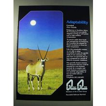 1987 Q Data Group Qpac and Qfin software Ad - Adaptability Gemsbok Oryx Gazella