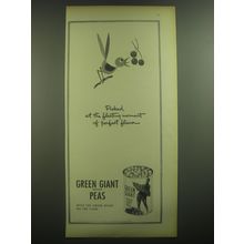 1946 Green Giant Peas Ad - Picked at the fleeting moment of perfect flavor