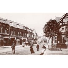 Library Old Cross Hertford Postcard