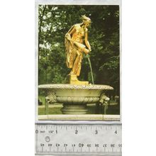 1996 postcard St Petersburgh, Peterhof, The Danaid Fountain
