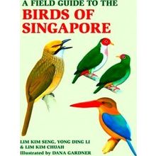 A Field Guide To The Birds Of Singapore