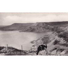 Swyre Head Houns Tot Aerial Rare Vintage Real Photo Dorset Postcard