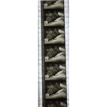 NOTORIOUS. Pk MTP - A016p. 1 STRIP OF 5 - 35MM FILMCELLS