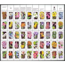 Wildflowers Full Sheet of Fifty 29 Cent Postage Stamps Scott 2647-96
