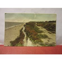 CLIFFS, MILFORD-ON-SEA, HAMPSHIRE.. unused antique postcard by J. Salmon =