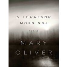 A Thousand Mornings