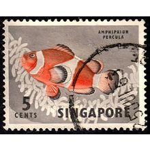 Malaya Singapore 1962 Fish 5c Used Stamp