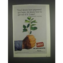 1985 Monsanto Lasso Ad - Don't know how pigweed got here