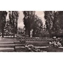 Rheinberg Stadtpark Gardens Stunning Vintage German Real Photo Postcard