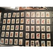 ICOLLECTZONE US 1953-2002 State Birds Complete Set VF used