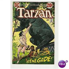 TARZAN # 216 ( DC series)