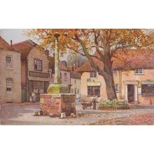 Alfriston Sussex Gardener Doing Chemist Garden Oilette Antique Postcard