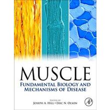 Muscle - Joseph Hill