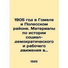 1905 in Gomel and Polessky District. Materials on the history of the social-dem