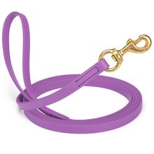 Dog Pet Leash Amethyst Purple w/ Brass Hardware W 5/8" - L33'