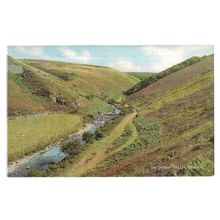 THE DOONE VALLEY, EXMOOR unused vintage postcard by Salmon #