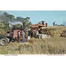 Threshing at Podgmore Norfolk Village Rare Postcard
