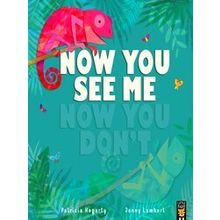 Now You See Me, Now You Don't - Patricia Hegarty