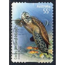 Australia 2009 Species at Risk -Territories J.I. Green Turtle 55c s/a Used