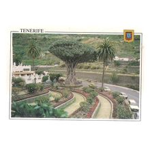 VIEW OF THE DRAGO, TENERIFE, SPAIN used postcard 1993 #