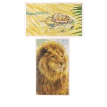 2 x GOING WILD Brooke Bond Tea Cards. 1994 nos 14, Lion & 11, Wagner's Gerbil =