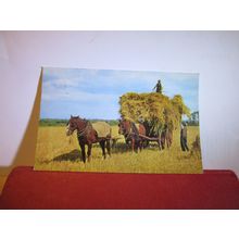 CARTING THE HARVEST used postcard by J Salmon 1966 pm =