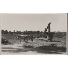 Making Gingley Oil, Madras, c.1940 - Kodak RP Postcard