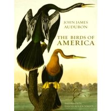 The Birds of America - John James Audubon