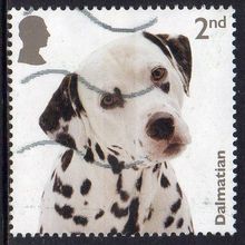 GB 2024 Dogs - Dalmatian 2nd Used