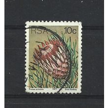 SouthAfrica.SG423 10c Protea Aristata.Fine Used.Sep25t