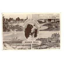 multiview, BOGNOR REGIS, SUSSEX used vintage postcard 1956? pm spaniel dog =