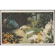 A Path of Flowers, c.1920s - Photochrom Postcard