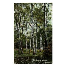 Postcard UK England Kent Cobham The Mount Woods posted 1905