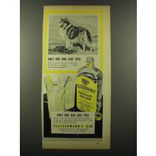 1941 Fleischmann's Gin Ad - Only One Dog Like This
