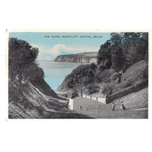 THE CHINE, WESTCLIFF, SEATON, DEVON, used vintage postcard by Dennis 1959 pm #