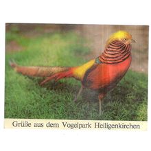 VOGELPARK, HEILIGENKIRCHEN, GERMANY used vintage postcard 1973 postmark bird =