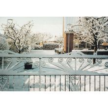 My Alburgh Garden At Christmas Winter Disaster Weather Rare Norfolk Postcard