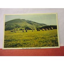 DRUIDS CIRCLE, KESWICK, CUMBRIA used postcard RP .by G P Abraham 1964 pm /